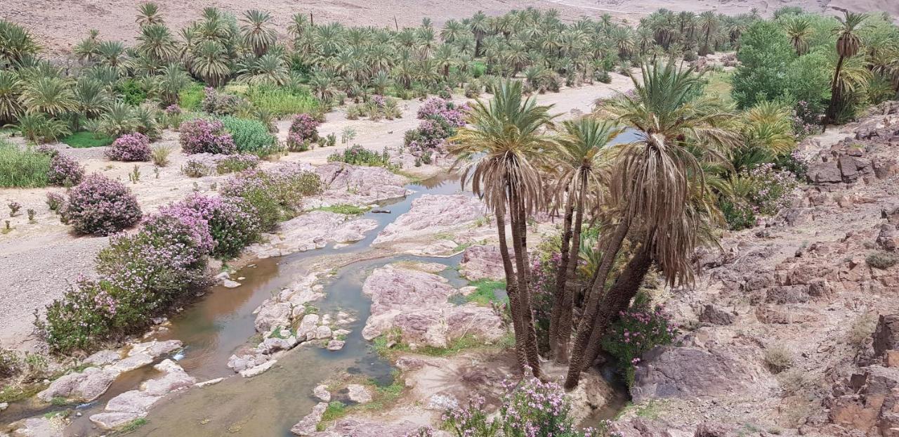 ecolodge bivouac des aigles Ouarzazate Extérieur photo